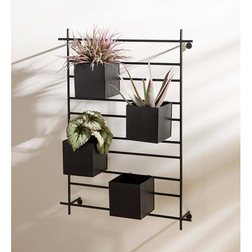 Latitude Run® Metal Wall Planter Wayfair